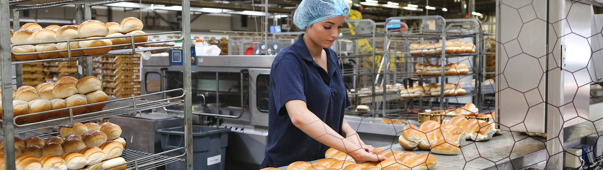 Ontwerp zonder titel amarant medewerker inpakken