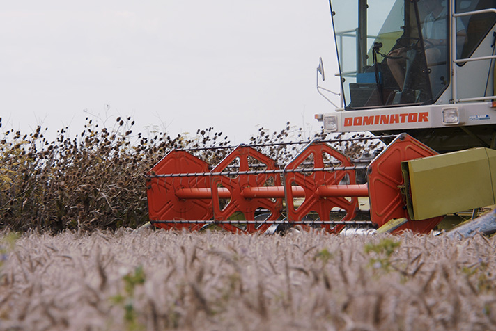 duurzame landbouw